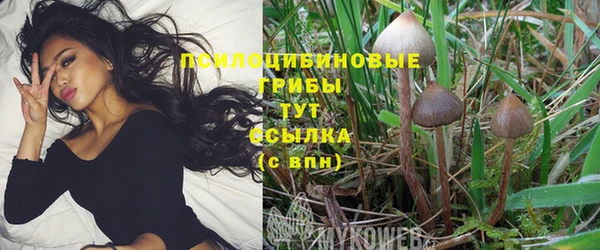 не бодяженный Беломорск