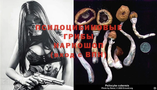 бошки Балахна