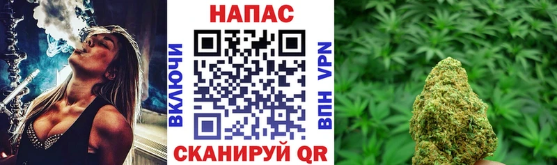 Бошки Шишки план  блэк спрут ссылка  Астрахань 